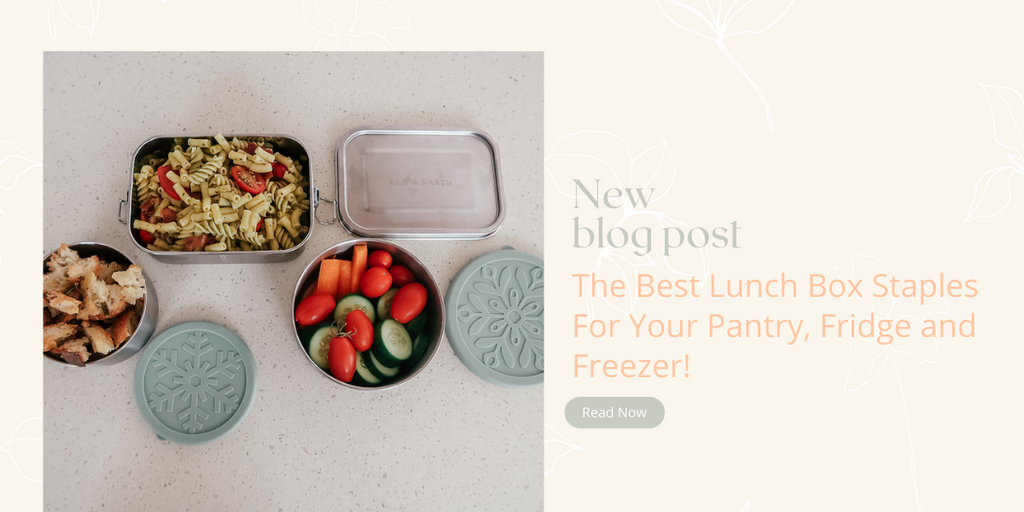 The Best Lunch Box Staples for Your Pantry, Fridge and Freezer! – Ela &  Earth