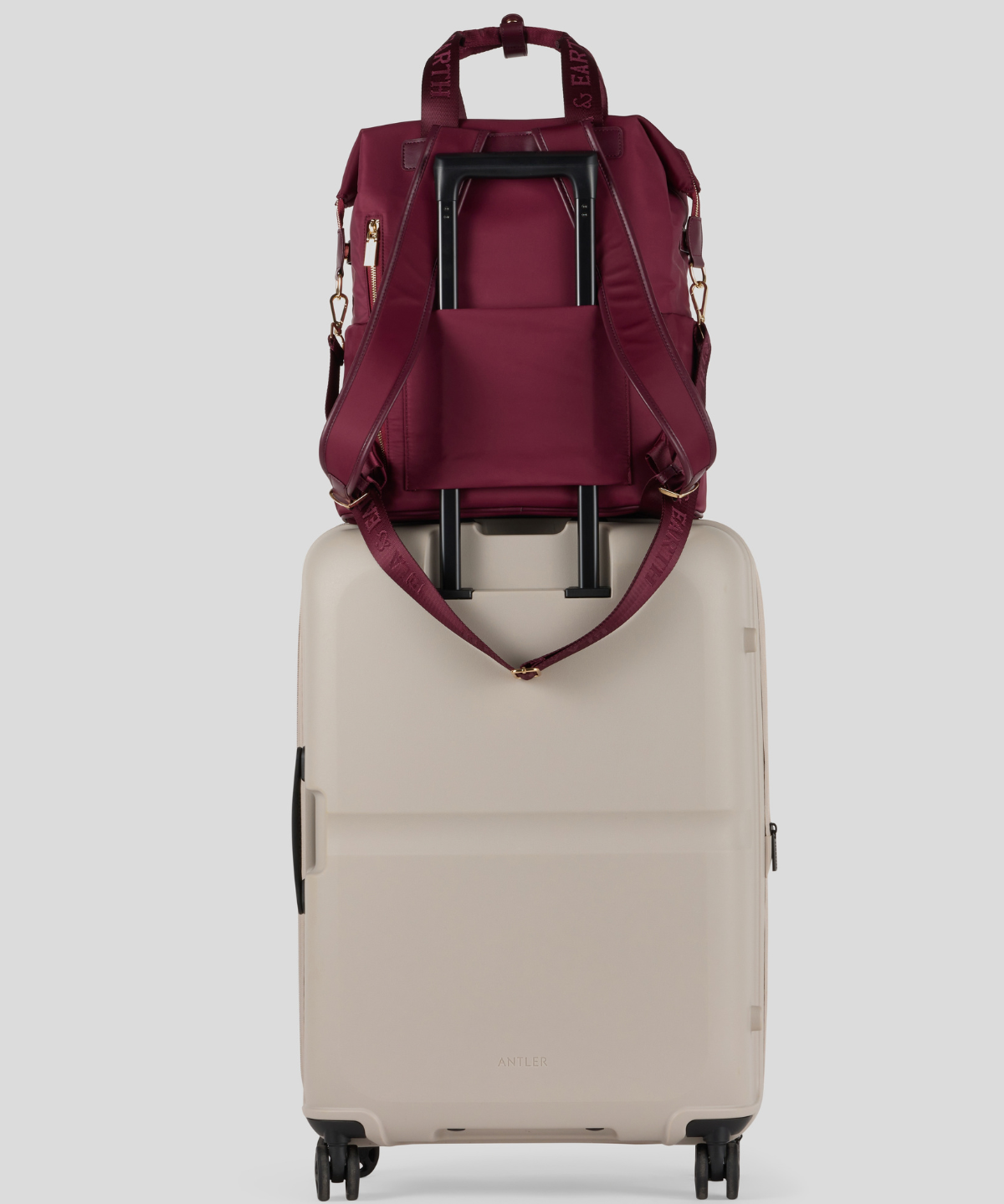 Shiraz - Odyssey Insulated Backpack [Large]